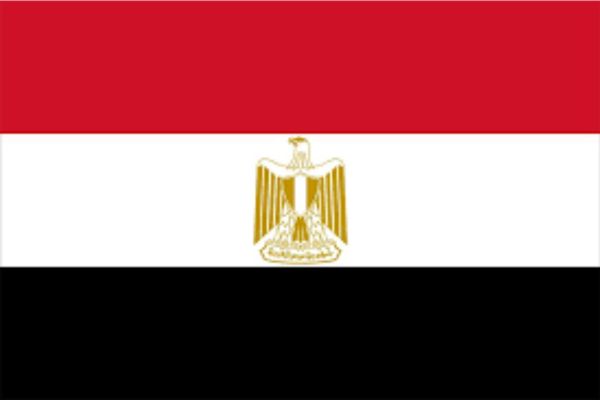 egypt state of digital report