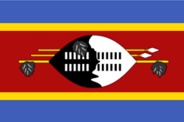 eswatini state of digital report