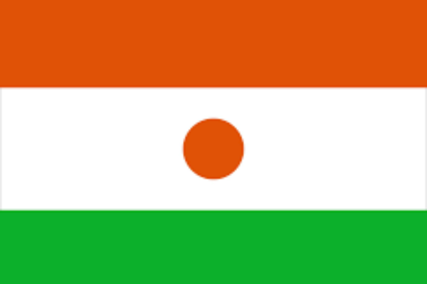 Niger state of digital report