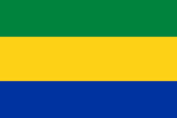 gabon state of digital report
