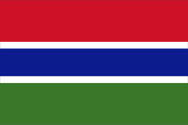 gambia state of digital report