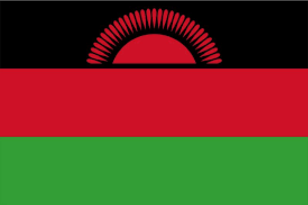 malawi state of digital report