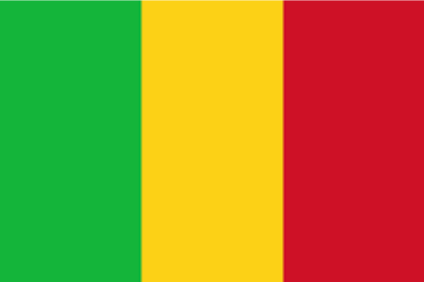 mali state of digital report